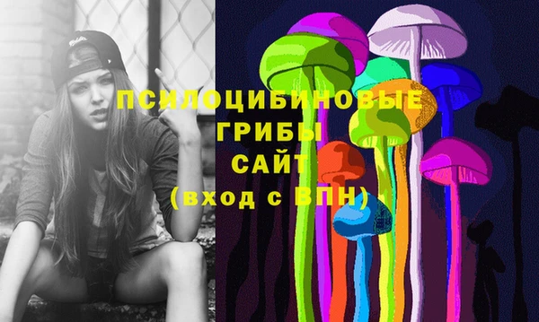 дживик Алзамай