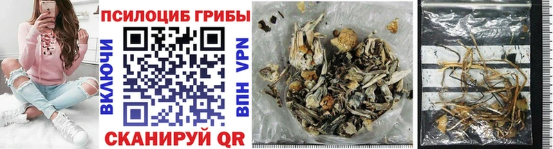 Псилоцибиновые грибы мицелий  Архангельск 