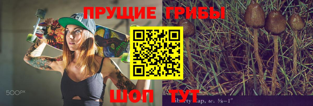 Псилоцибиновые грибы мицелий Архангельск