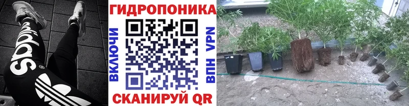 Шишки марихуана AK-47 Архангельск